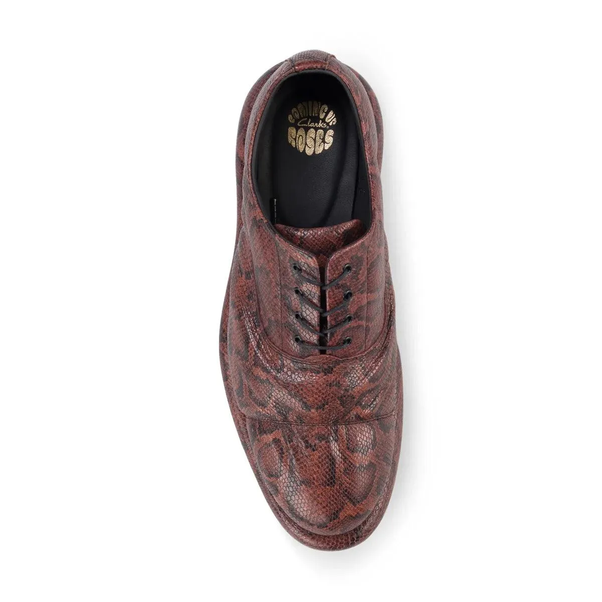 + Martine Rose Oxford 'Brown Snake'