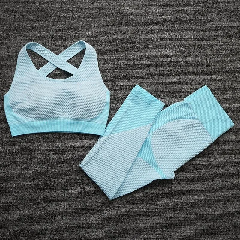 2/3PCS Seamless Yoga Set - Long Sleeve Crop Top and High