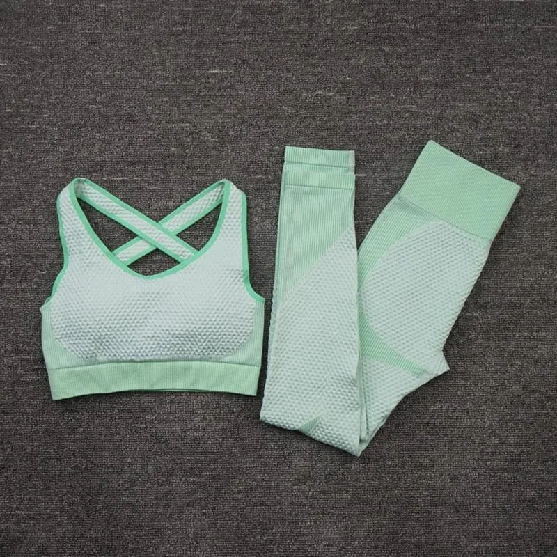 2/3PCS Seamless Yoga Set - Long Sleeve Crop Top and High