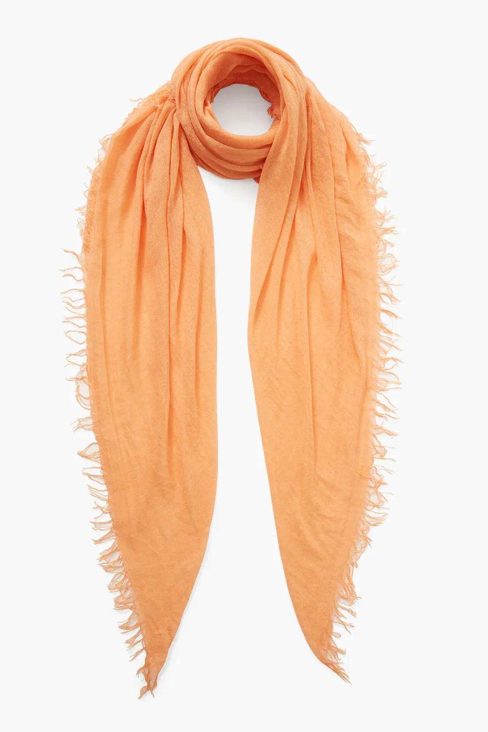 Pumpkin Cashmere and Silk Scarf