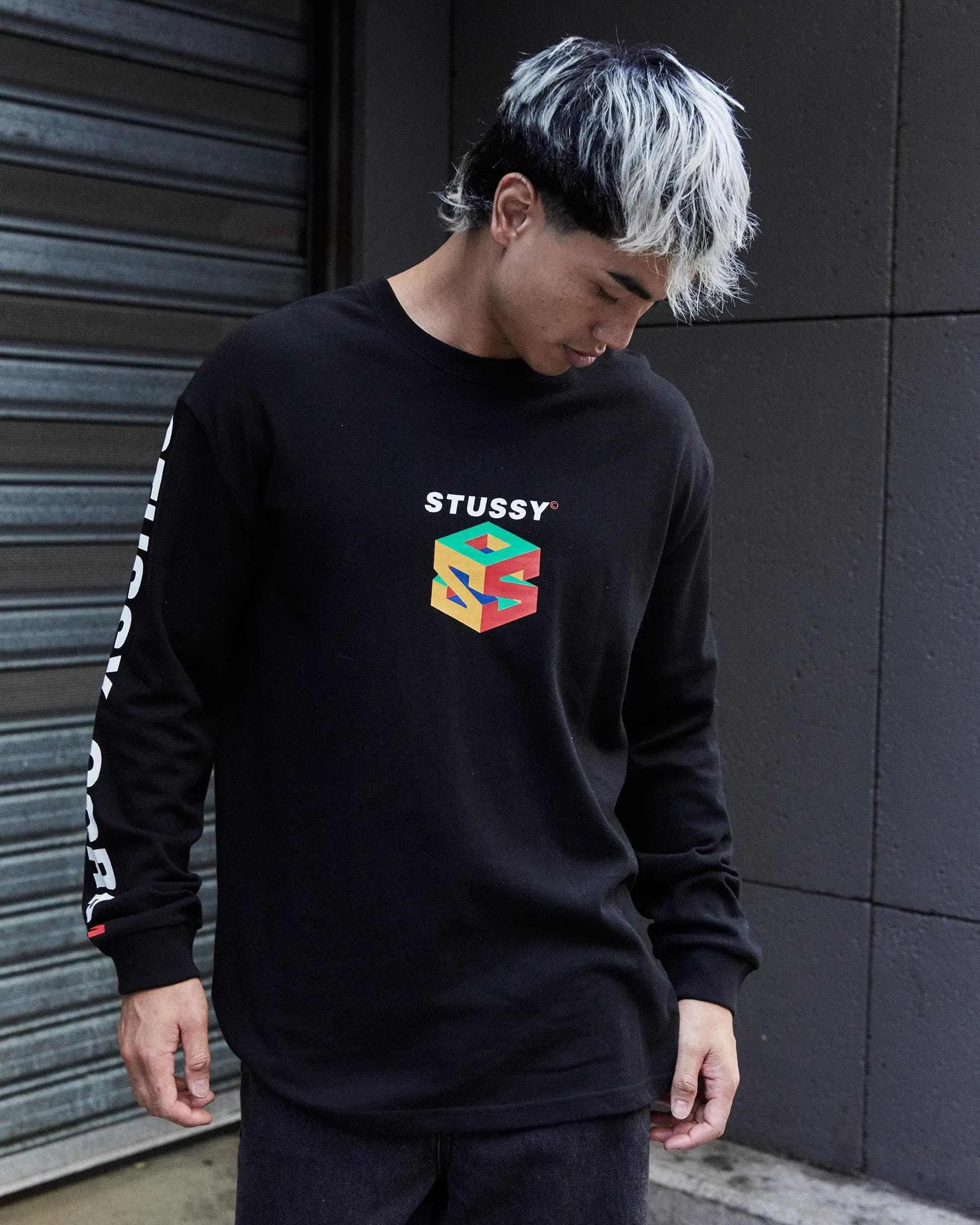 STUSSY  |Crew Neck Street Style Long Sleeves Cotton